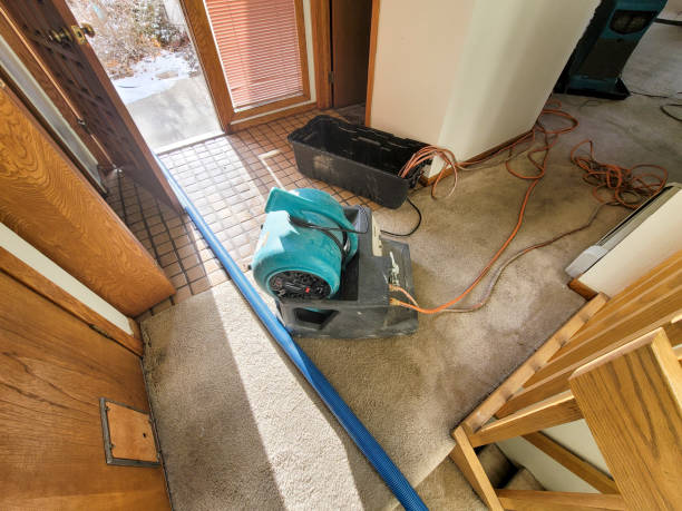 Best Residential water damage restoration  in Berea, KY